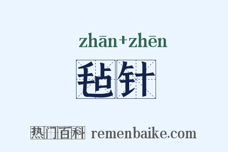 毡针是什么意思的图片